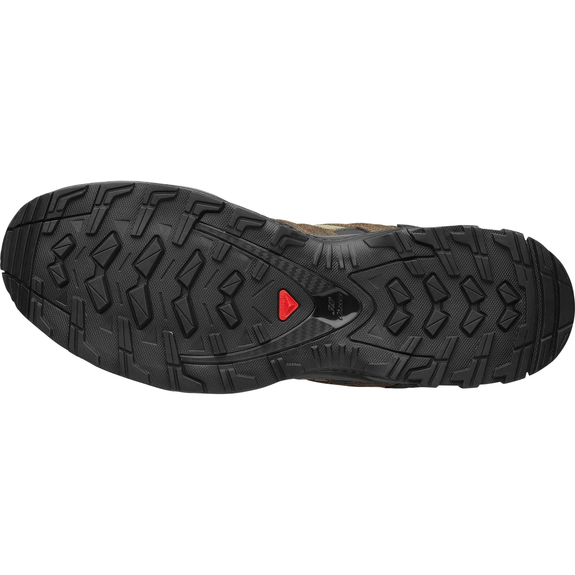 Salomon XA Pro 3D Distressed LTR Unisex Outdoor Shoes – Green & Brown